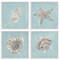 Stupell Industries Beige & Blue Sea Life 4 pc Framed Giclee Wall Art Set Design by Julie Derice